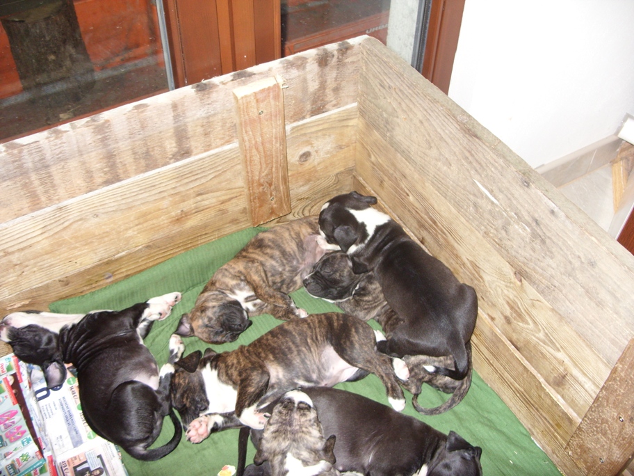 SDC10873.JPG