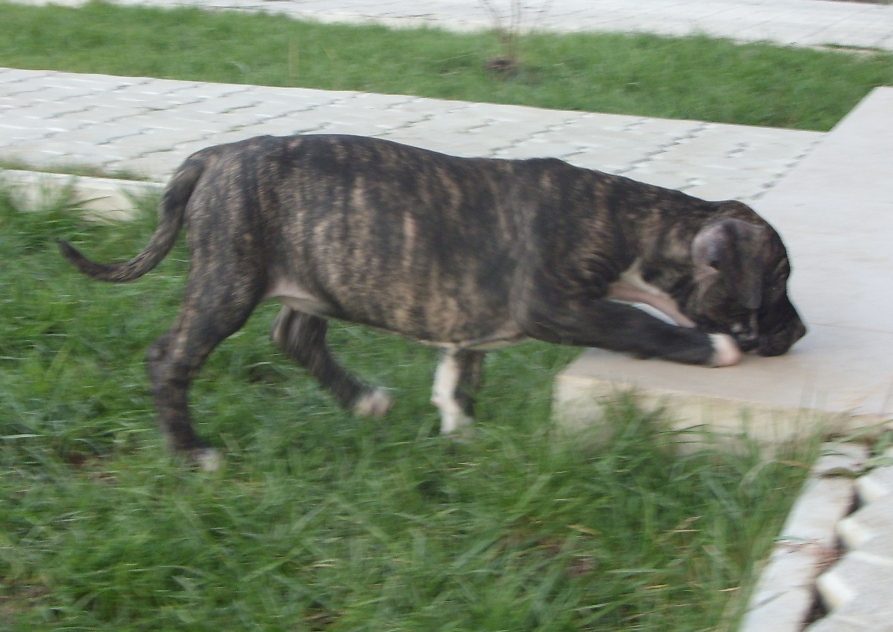 SDC11303.JPG