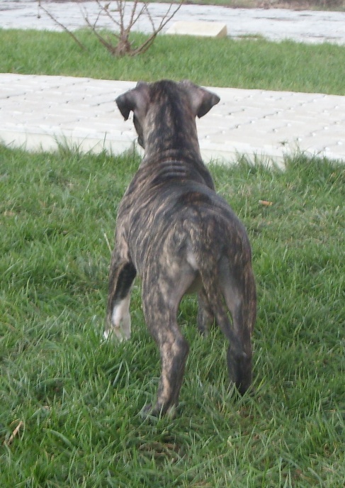 SDC11313.JPG