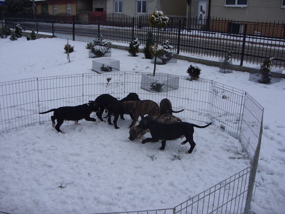 SDC11579.JPG